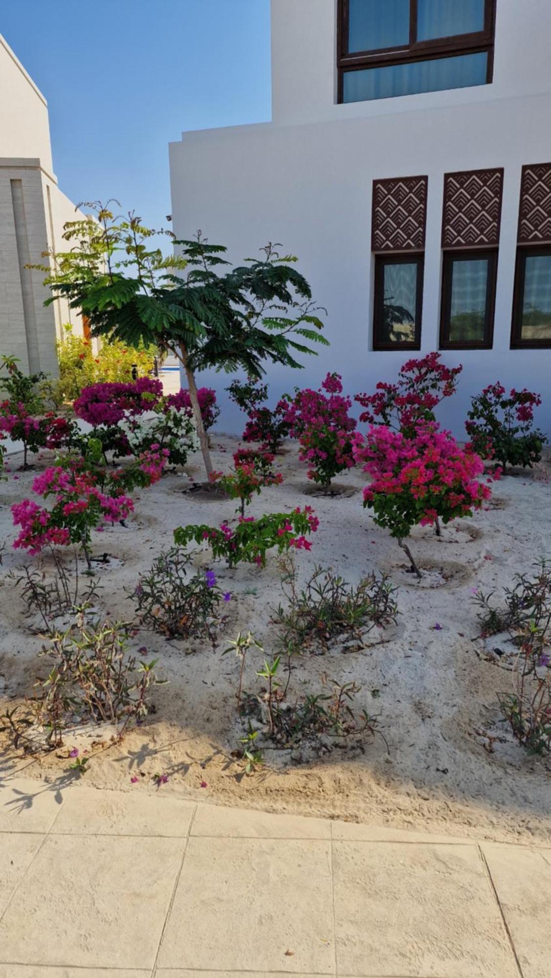 Hawana Poolside Appartement
